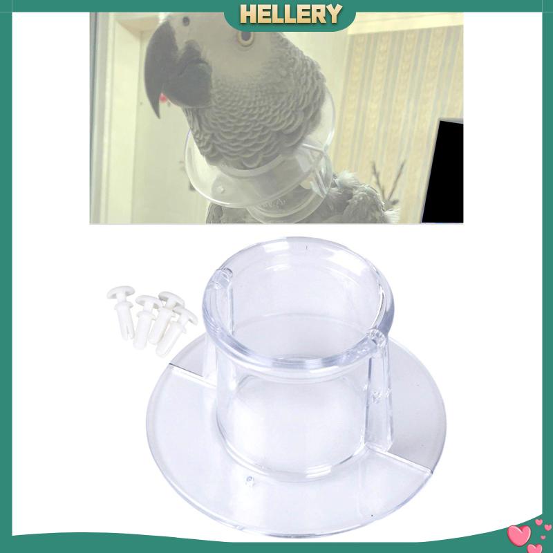 Vòng Cổ Chuỗi Hạt Bảo Vệ An Toàn Cho Chim Vẹt