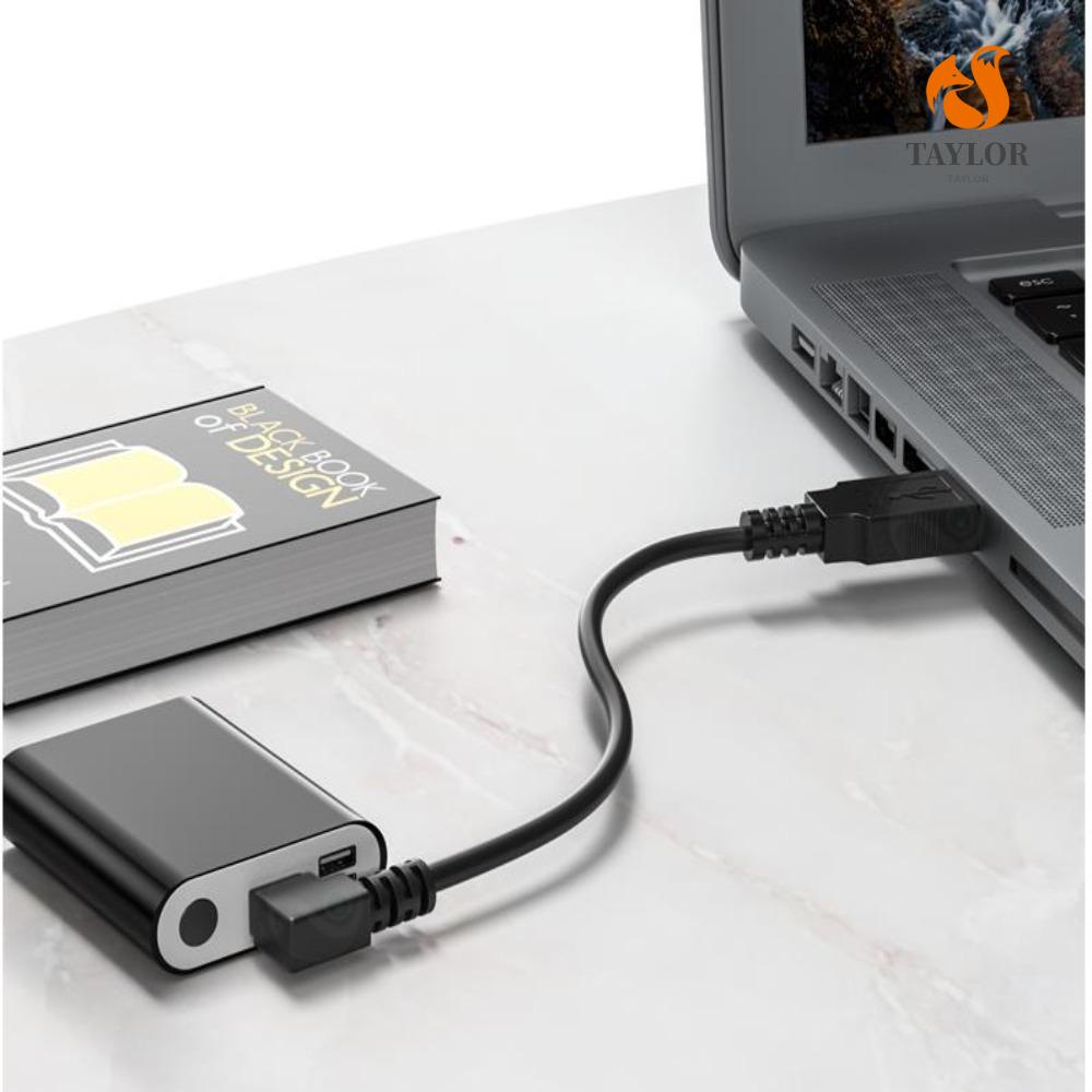 Dây Cáp Nối Dữ Liệu USB Đầu Thẳng TAYLOR1|Dây Cáp Sạc Nhanh Góc 90 Độ Chuyên Dụng Cho Điện Thoại