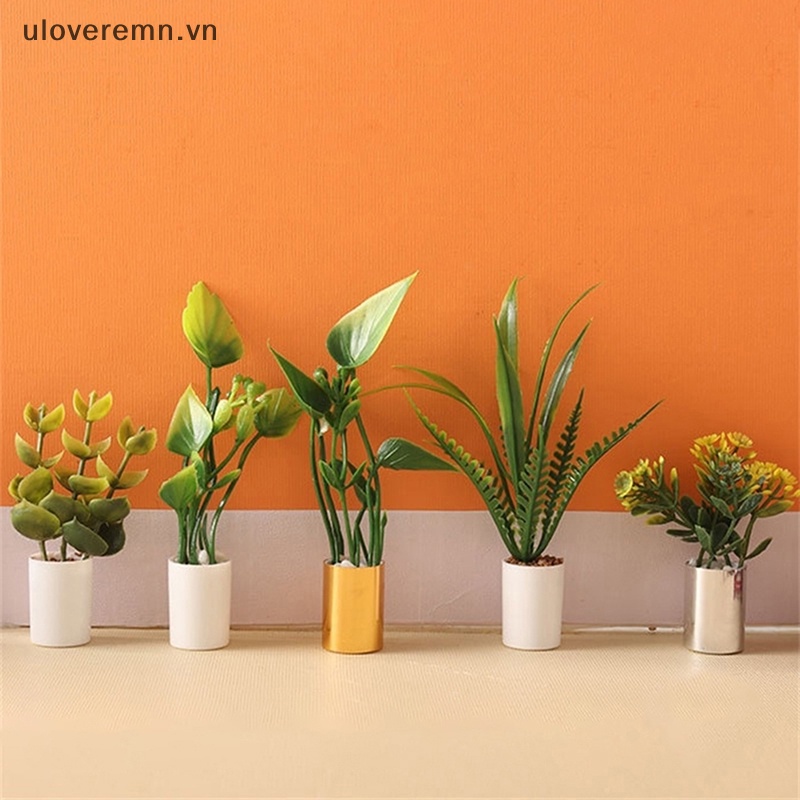 Mô Hình Chậu Cây Xanh Trang Trí Nhà Búp Bê Tỉ Lệ 1: 12