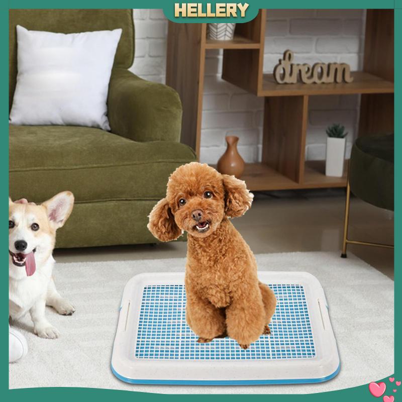 Khay Huấn Luyện Thú Cưng Đi Vệ Sinh Gắn Góc Tường Tiện Dụng