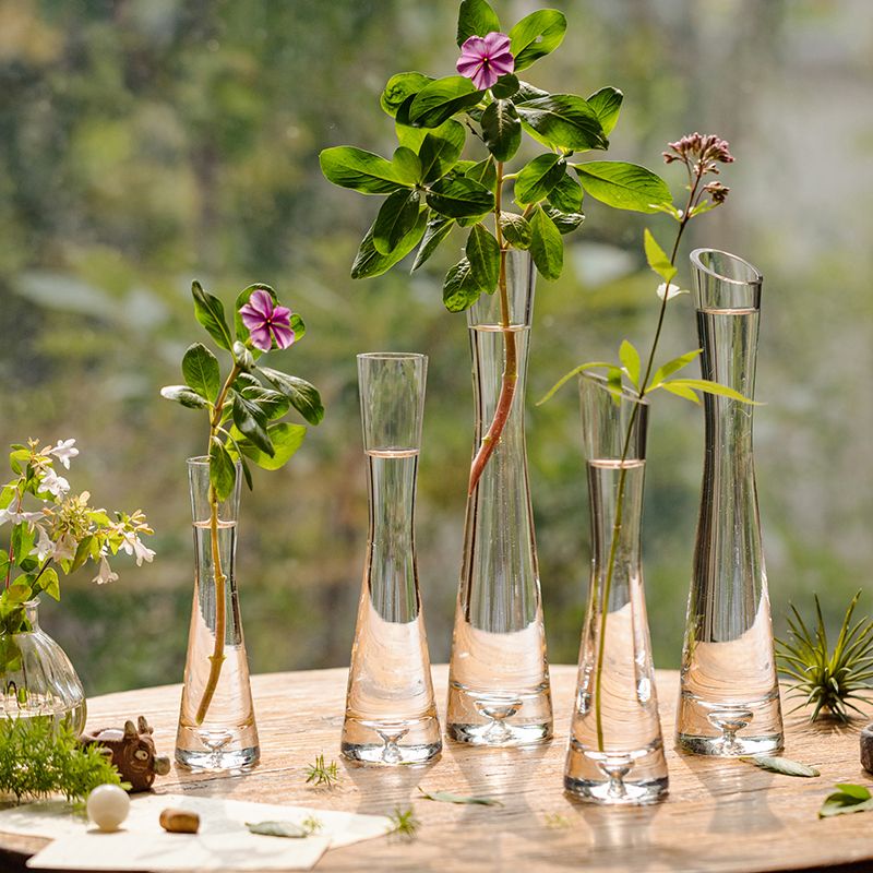 Juhan bình nhỏ trồng hoa đẹp mắt phong cách Instagram Bắc Âu Bình Hoa Thủy canh trong suốt bằng thủy