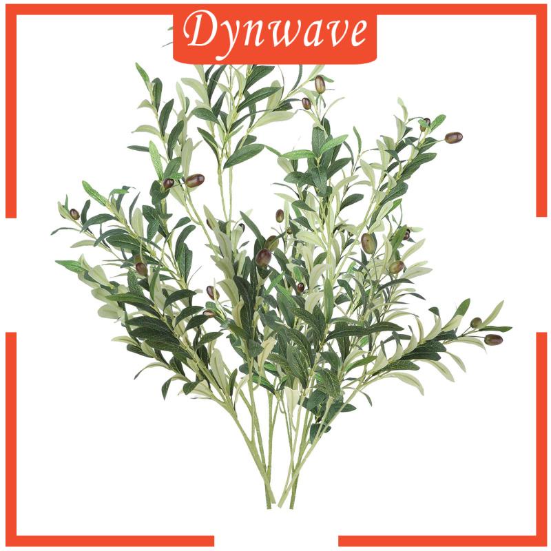 Cành Ô Liu Dùng Làm Đạo Cụ Chụp Ảnh Trong Nông Trại