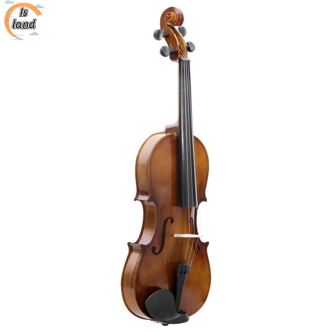 Đàn Violin Bằng Gỗ Trơn Kèm Hộp Đựng Dành Cho Người Mới Bắt Đầu