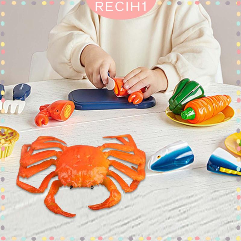 Mô Hình Sinh Vật Biển Đồ Chơi Cho Bé