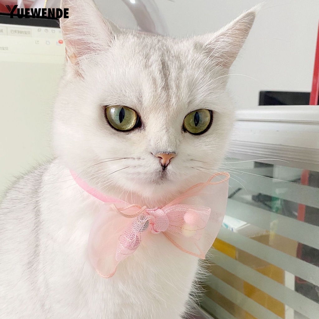 Vòng Cổ HìNh Nơ Xinh XắN Cho Thú Cưng