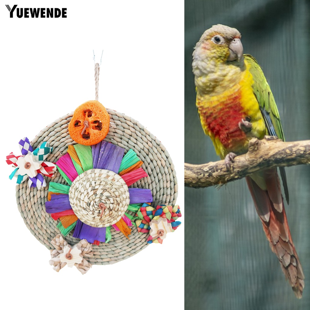 Đồ Chơi Treo Chống Trầy Xước Chống Mài Mòn Cho Chim Vẹt