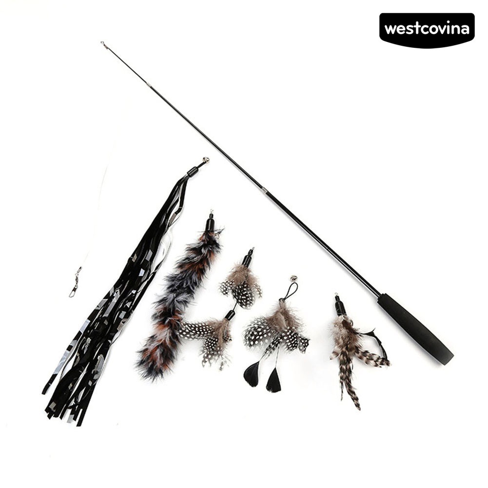 [COD]♞Set 6 Gậy Lông Vũ 3 Khúc Có Thể Thu Gọn Thay Thế Cho Mèo Cưng