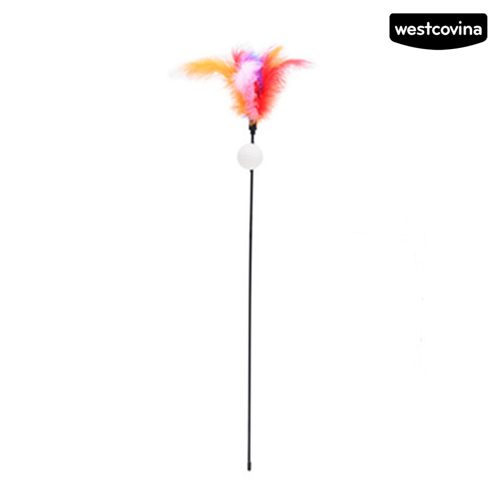 [COD]♞Gậy Gắn Lông Vũ Chơi Với Mèo