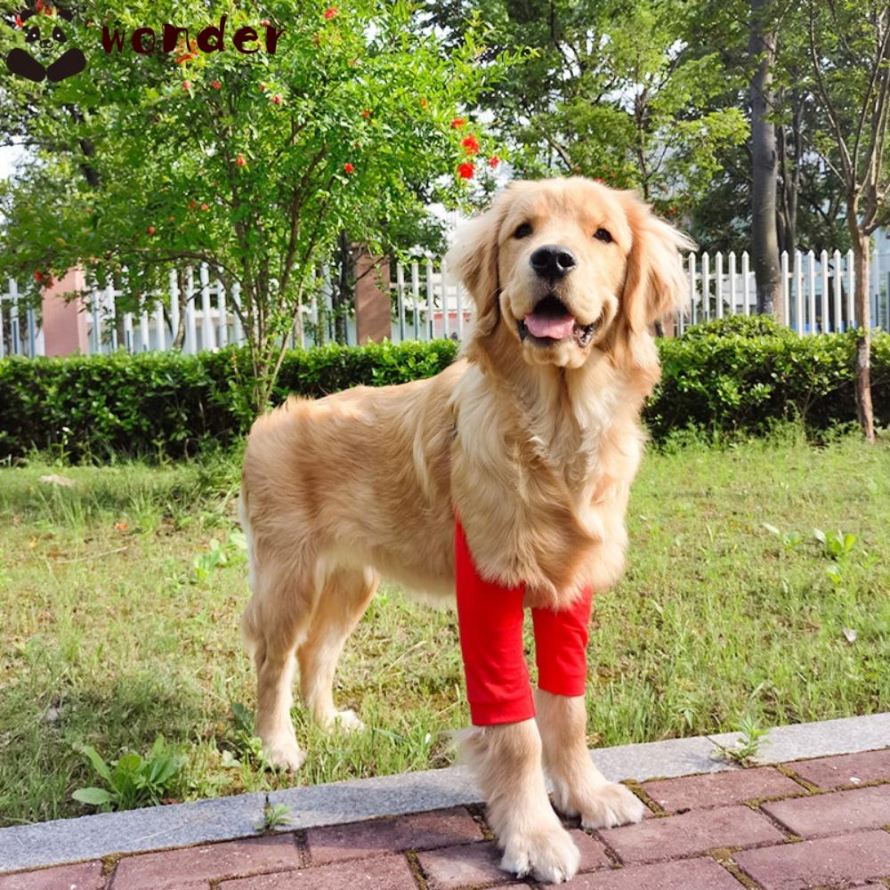 WONDER Băng Quấn Khuỷu Tay / Vai Mềm Mại Hỗ Trợ Giảm Đau Cho Cún Cưng