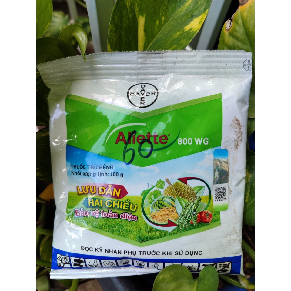 Thuốc trừ nấm Aliette 800WG - Lưu dẫn 2 chiều