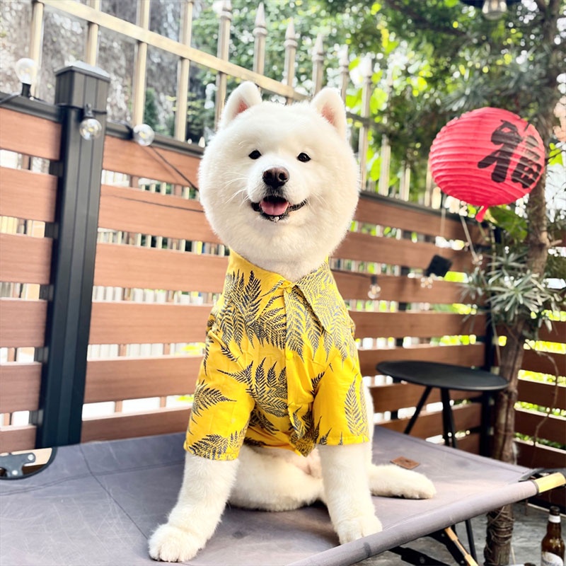 HamshMoc Áo Mềm Mại Siêu Bền Thoáng Khí In Họa Tiết Hamsa Thời Trang Mùa Hè Cho Cún Cưng