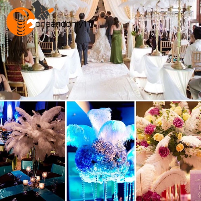 Bộ 100 Lông Đà Điểu 15-20cm Tự Nhiên Dùng Trang Trí Tiệc Cưới