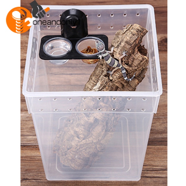 [COD] Chậu Rửa Thức Ăn Đa Năng Tiết Kiệm Nước Cho Bọ Rùa Nhện Xanh Lá Iguanas