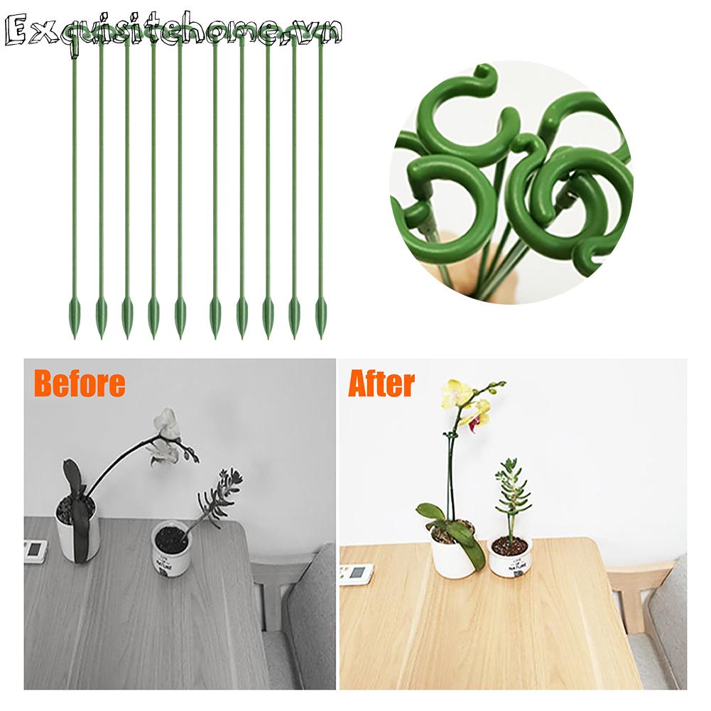 Khung Kim Loại Xoắn Ốc Đôi Hỗ Trợ Trồng Cây Đa Năng