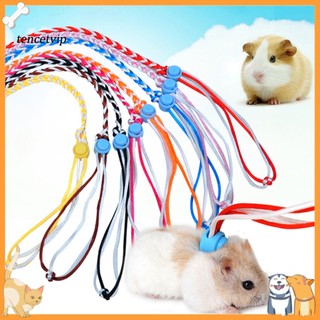 Dây dắt chuột hamster đi dạo 1.4 / 2m