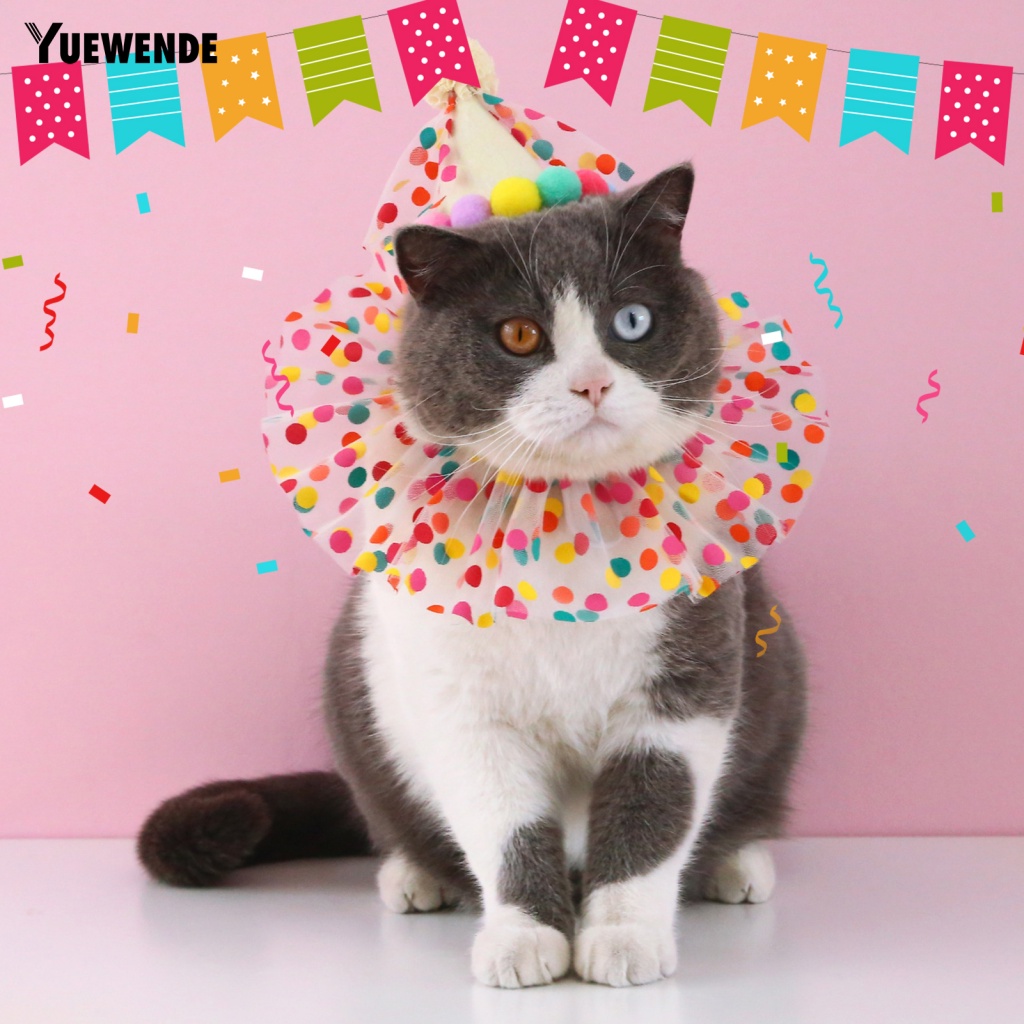 1 Set Băng Đô Và Nón Chụp Ảnh Cho Thú Cưng