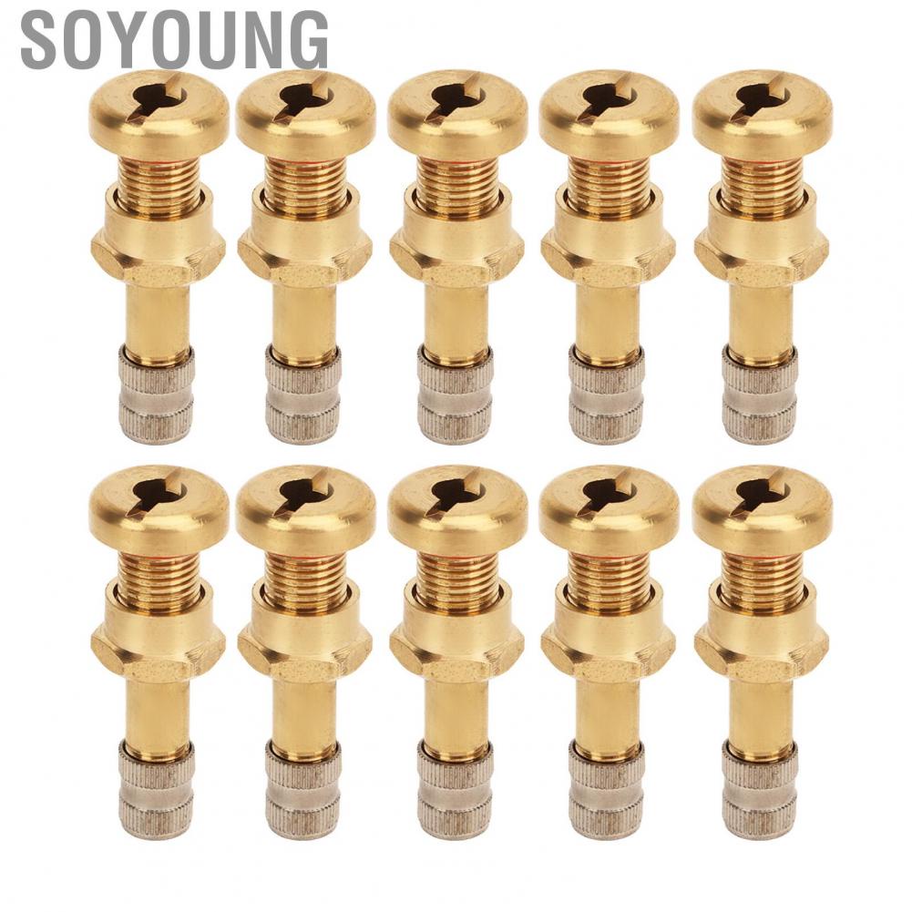 Soyoung Wheel Valve Stem  Stable Performance 20Pcs Truck Tubeless Tyre for 9.7mm Hole Van
