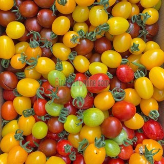 Hạt Giống Cà Chua Cherry Đỏ - Vàng 20 Hạt