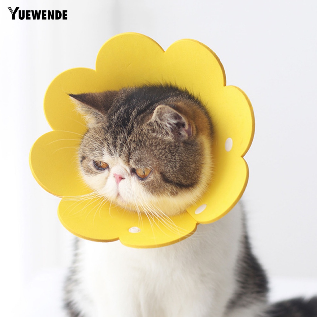 Vòng Cổ EVA In Hoa Bảo Vệ Cho Thú Cưng