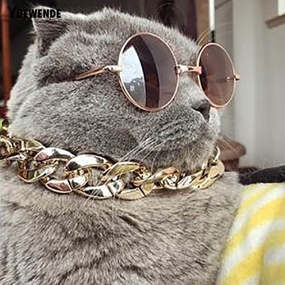 Vòng Cổ Bản Rộng 36cm / 45cm Có Thể Điều Chỉnh Cho Thú Cưng