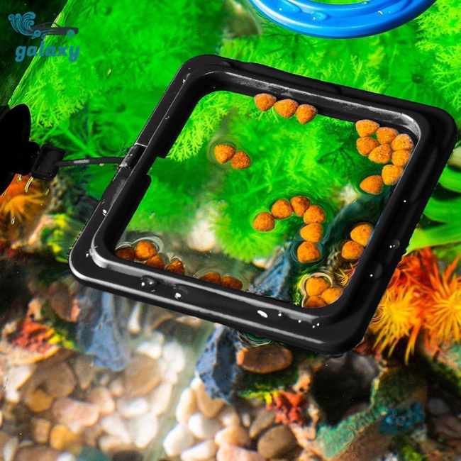 Dụng Cụ Cho Cá Ăn Hình Tròn galaxy Tiện Dụng