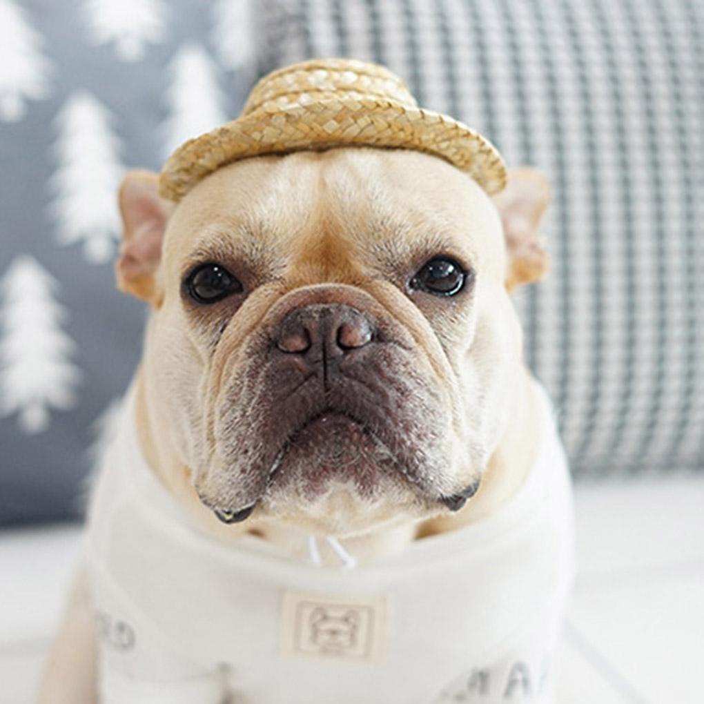 Mũ Rơm Chống Nắng Dễ Thương Cho Thú Cưng