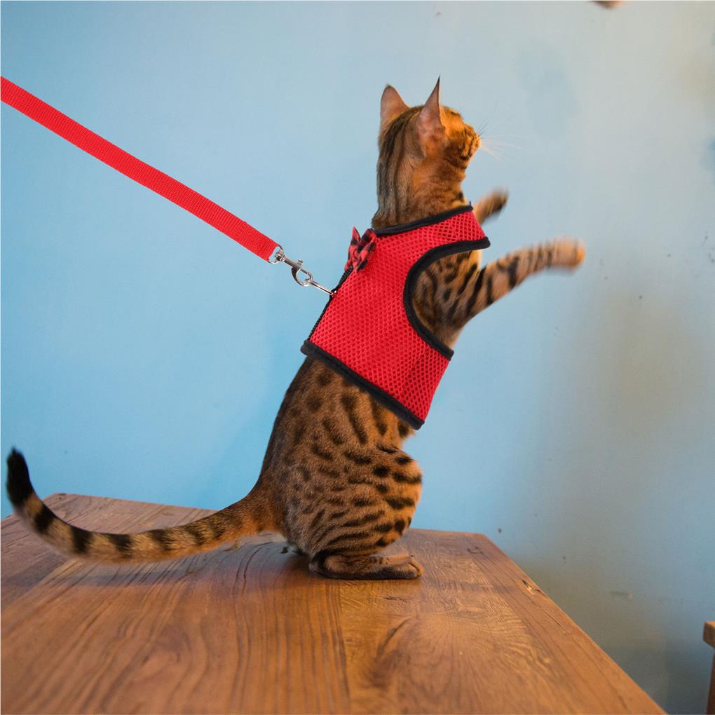 Áo Vest Kèm Dây Dắt Dắt Thú Cưng Đi Dạo Kiểu Đơn Giản Đa Năng Tiện Dụng