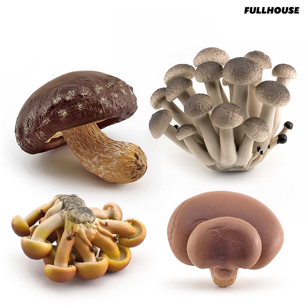 ❂Mô Hình Cây Nấm Mini Không Phai Màu Dùng Trang Trí Tiểu Cảnh