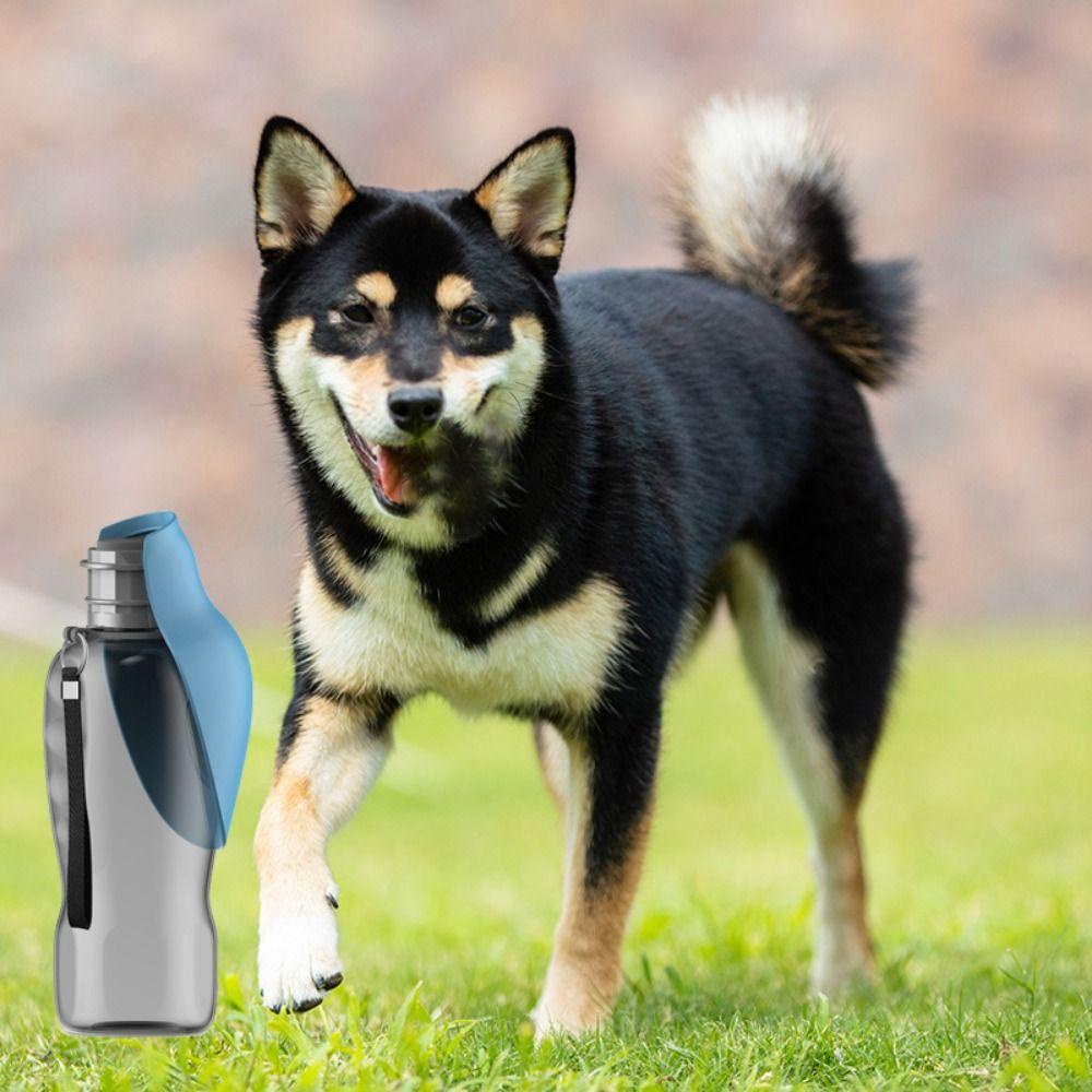 Bình Nước Nhựa Dung Tích 800ML Cho Thú Cưng