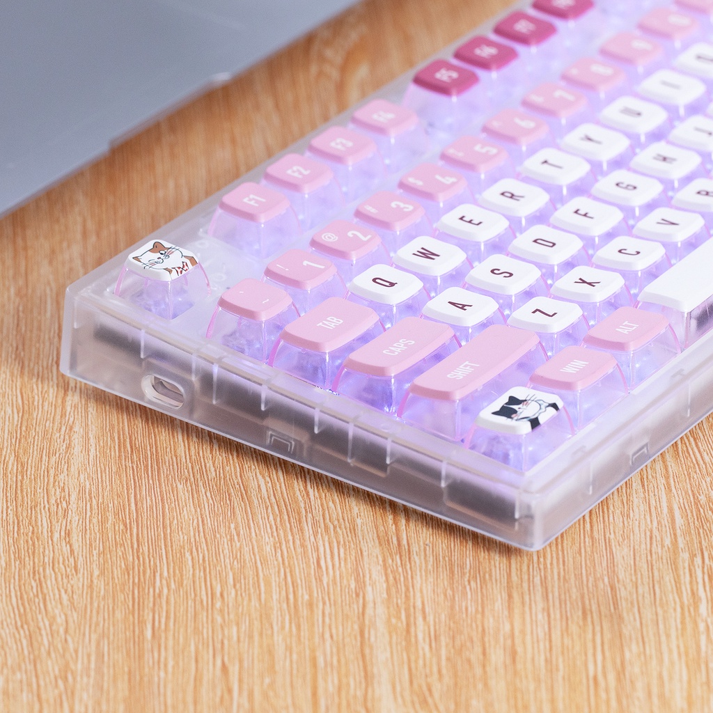 Set 118 Nút Bàn Phím Cơ Bằng Da PBT Trong Suốt In Hình Mèo Hồng Dễ Thương