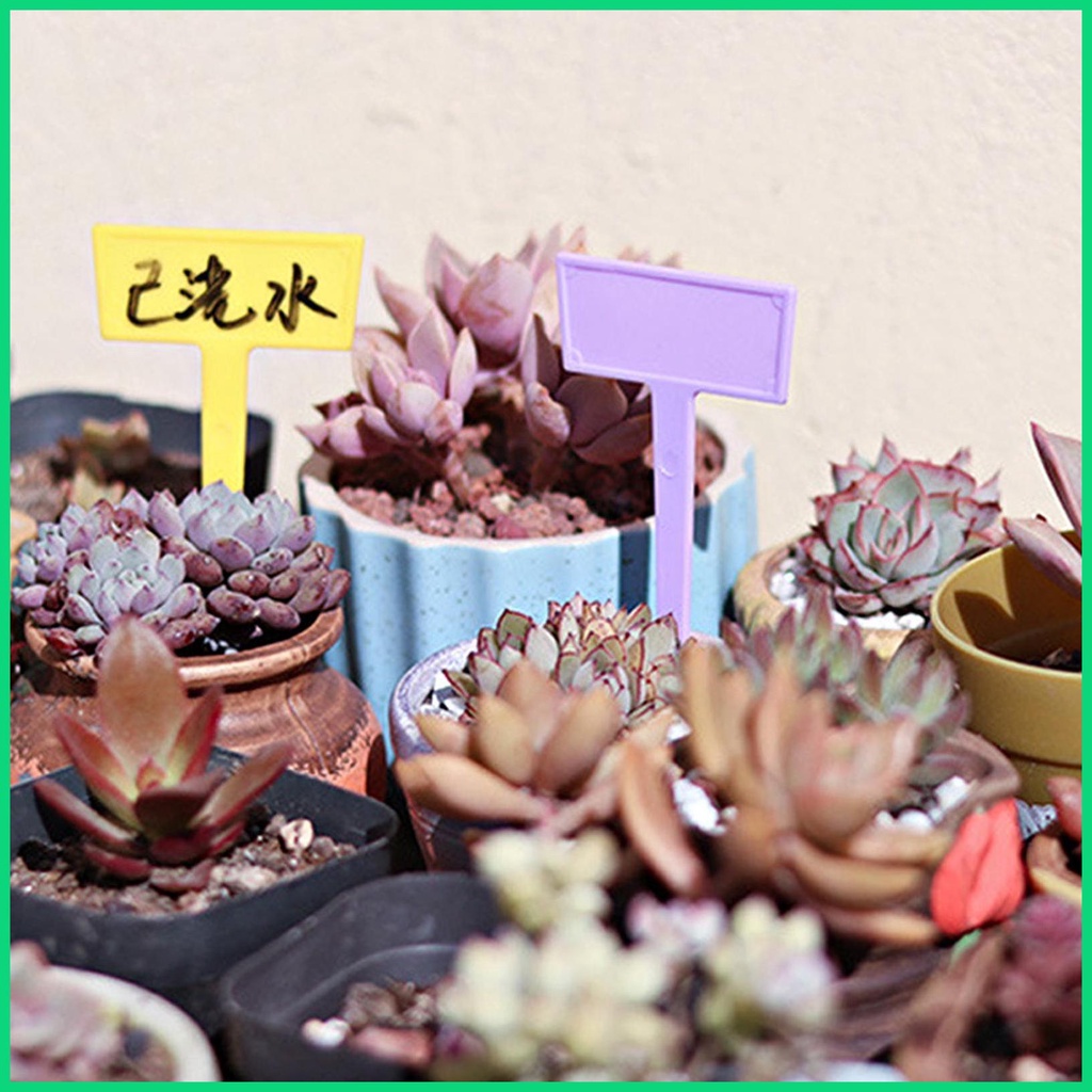 Set 12 Nhãn Chữ T Đánh Dấu Cây Trồng Trong Nhà Kính