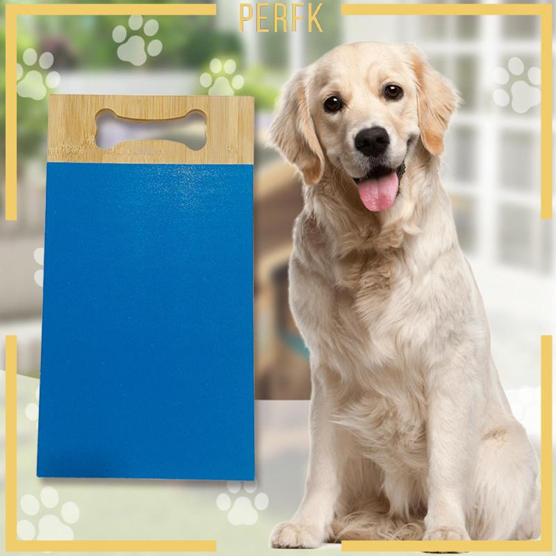 Bộ 6 Giấy Nhám 13 * 9 Inches Thay Thế Tiện Dụng