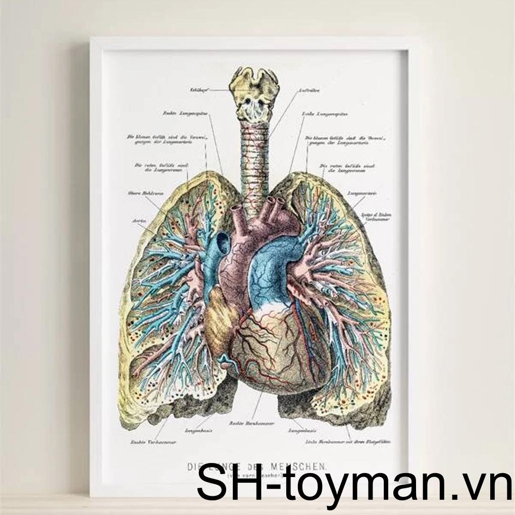 Áp Phích Trang Trí Phòng Ngủ / Hành Lang / Phòng Khách Không Thấm Nước In Họa Tiết Sợi Long Lanh