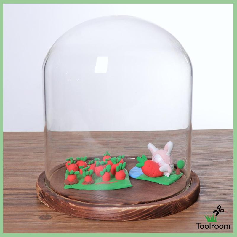 Giá Đỡ Cloche Mini Có Nắp Đậy Dùng Trang Trí Phong Cảnh