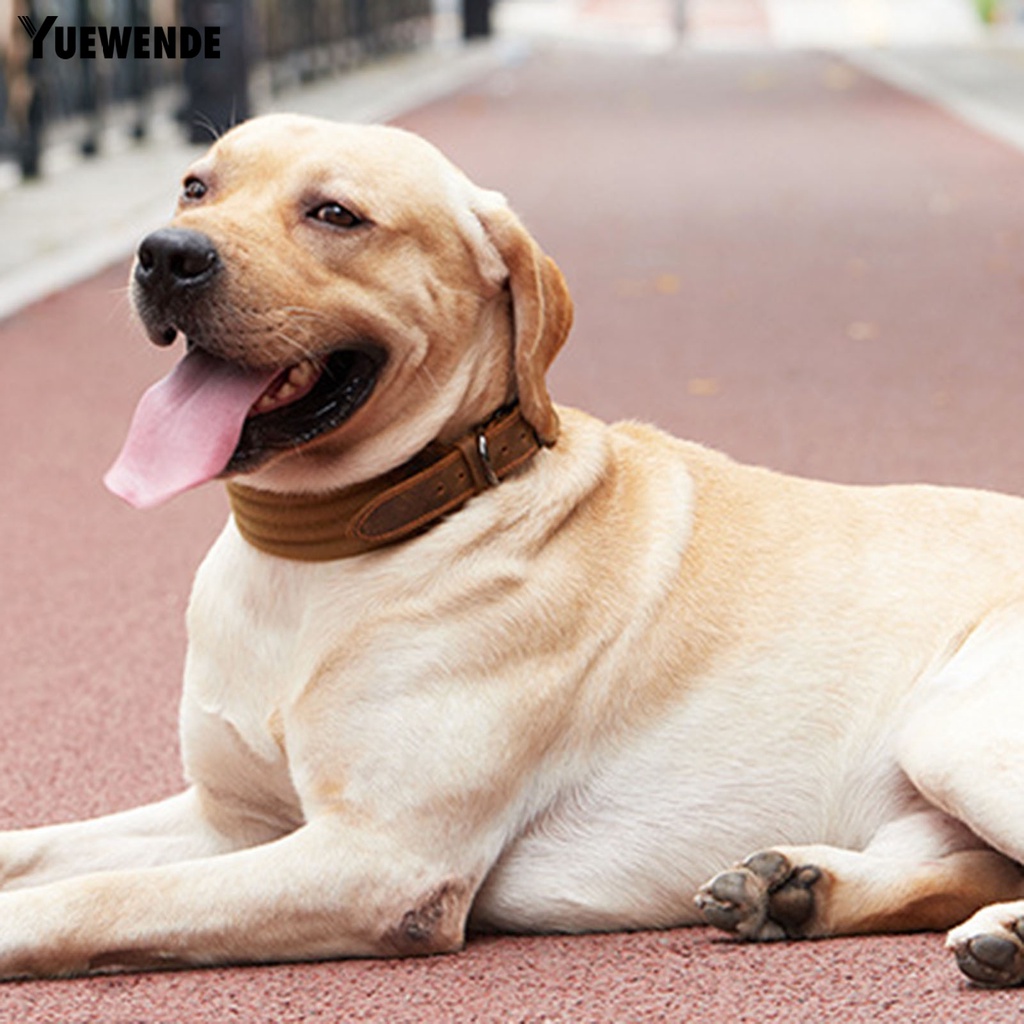 Vòng Cổ Giả Da Thoáng Khí Cho Thú Cưng