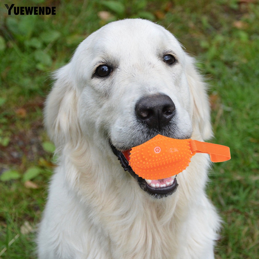 Đồ Chơi Nhai Gặm Hình Trái Cây Trọng Lượng Nhẹ Có Âm Thanh Vui Nhộn Cho Thú Cưng