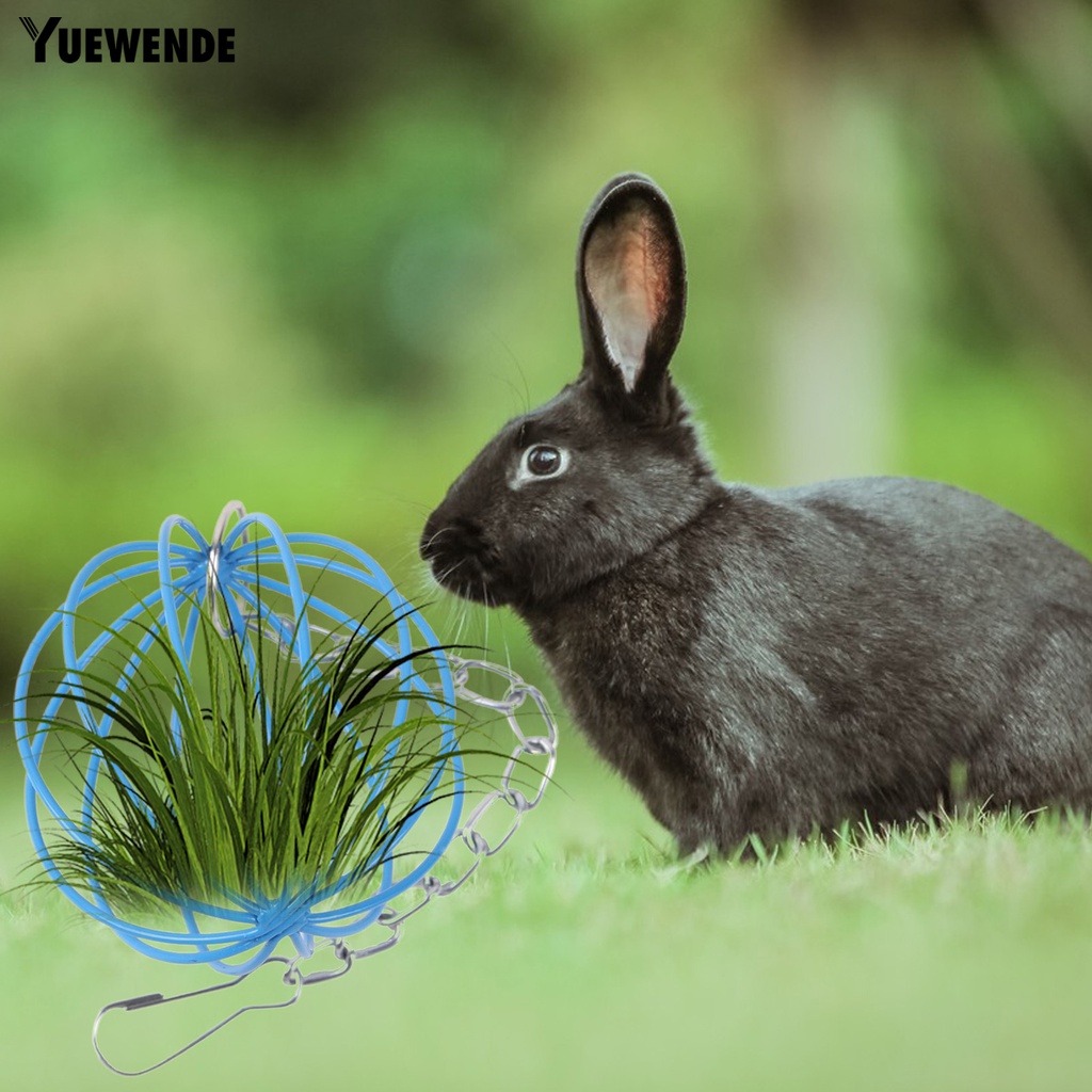 Yq.e Giá Treo Quả Bóng Cỏ Tròn Mini Đựng Thức Ăn Cho Thú Cưng