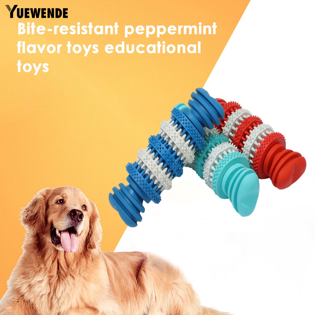 Đồ Chơi Nhai Gặm Bằng Cao Su Tự Nhiên Chống Cắn Lâu Trôi Cho Thú Cưng