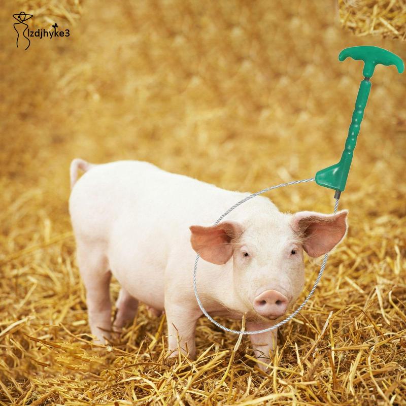 Giá Đỡ Cần Điều Khiển Heo / Chó / Lợn Nặng lzdjhyke3