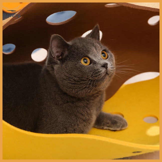 Đường Hầm Đồ Chơi Bằng Vải Nỉ Có Thể Tháo Rời Tương Tác Với Mèo Cưng Trong Nhà Diy