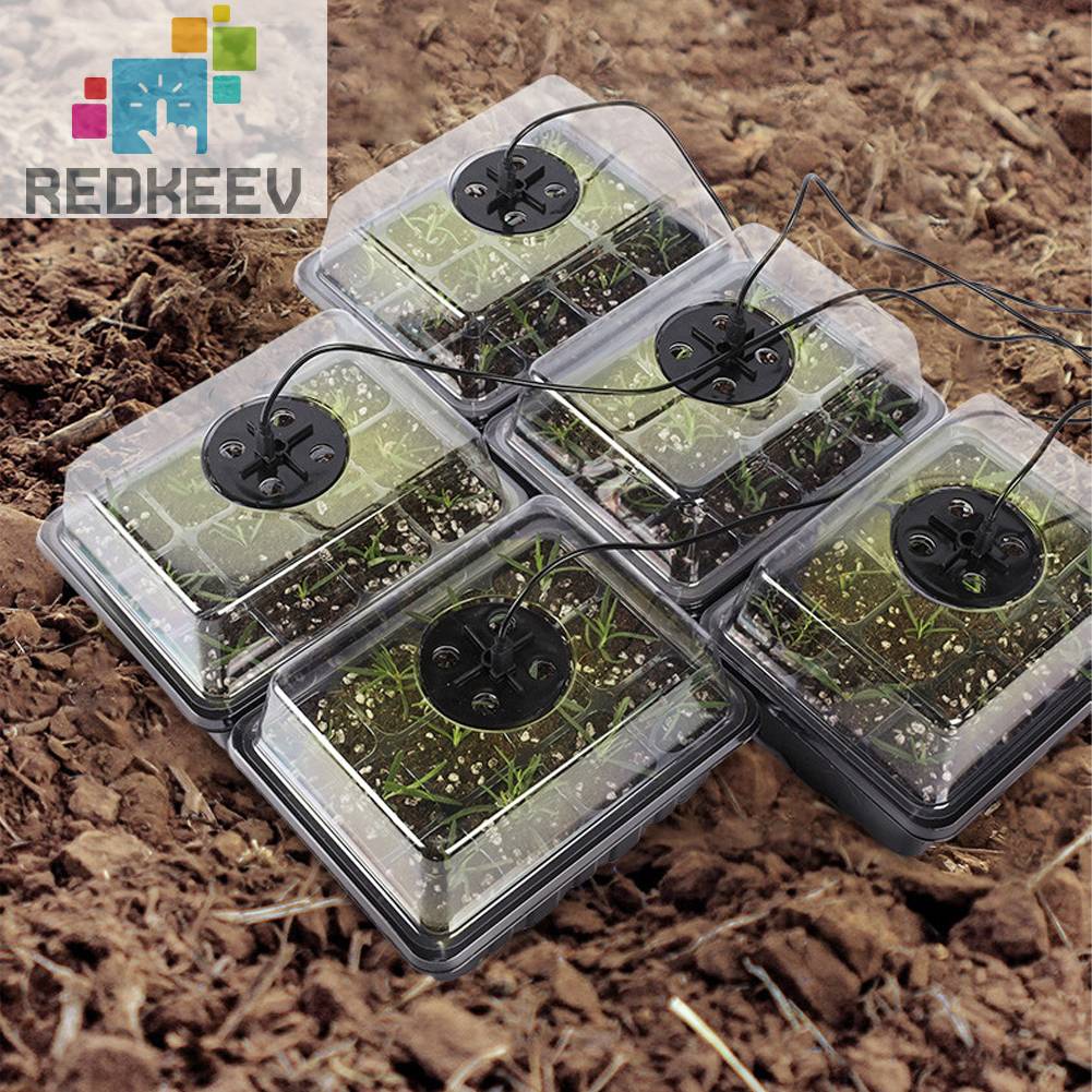Hộp Gieo Hạt Tiện Lợi Cho Nhà Kính