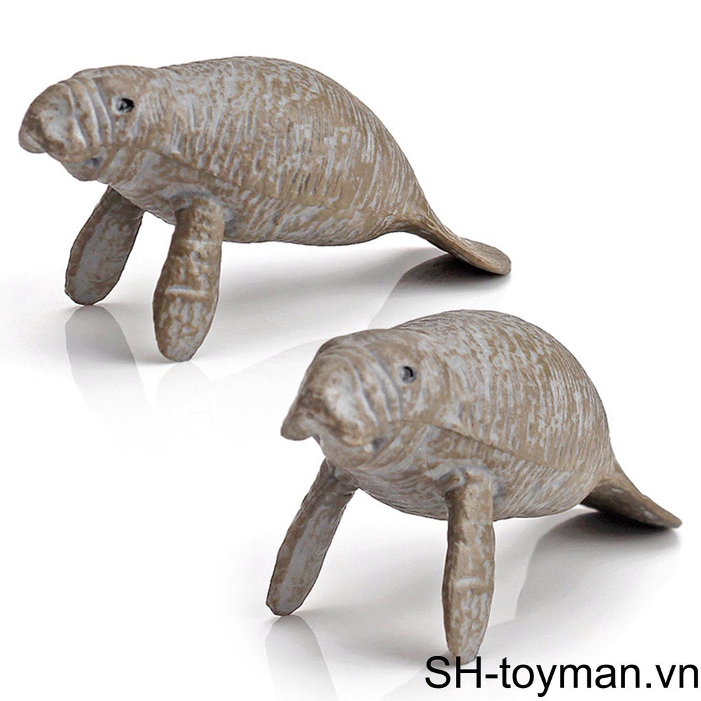 Bộ 12 Mô Hình Cá Mập Sống Động Dành Cho Bé