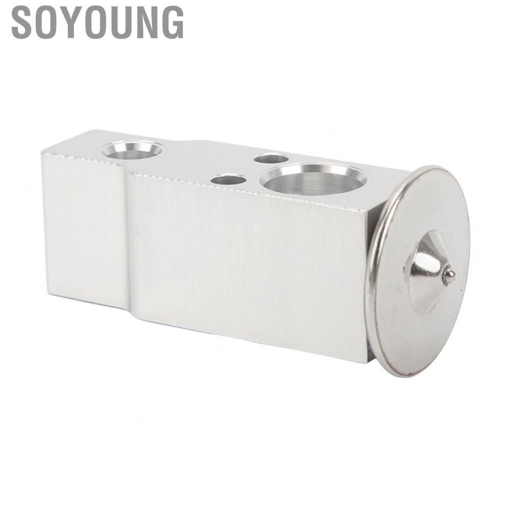 Soyoung 5139280AA  Rear AC Expansion Valve High Cooling Efficiency Rust Resistant Durable Aluminum for SUVs
