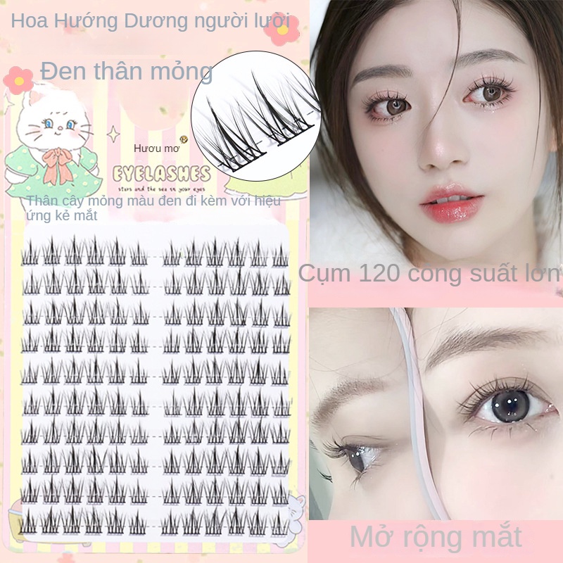 Lông Mi Giả Trang Điểm Tự Nhiên Hình Hoa Hướng Dương Nhỏ