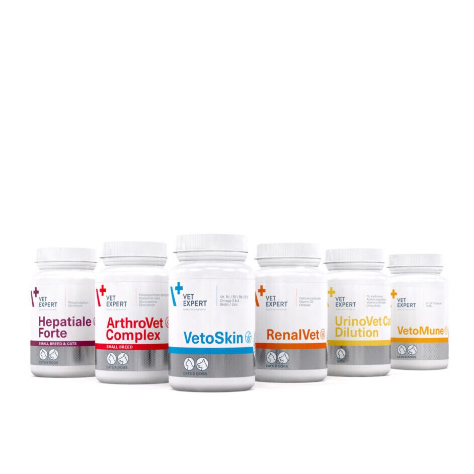 VetoSkin Vet Expert viên uống giảm rụng mượt lông ngừa viêm da cho chó mèo chính hãng Ba Lan