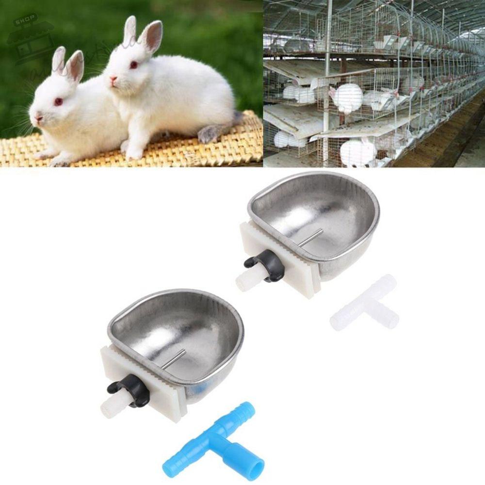 Bát Ăn Uống Hình Chữ T Chống Sặc Cho Thỏ AUGUSTINA