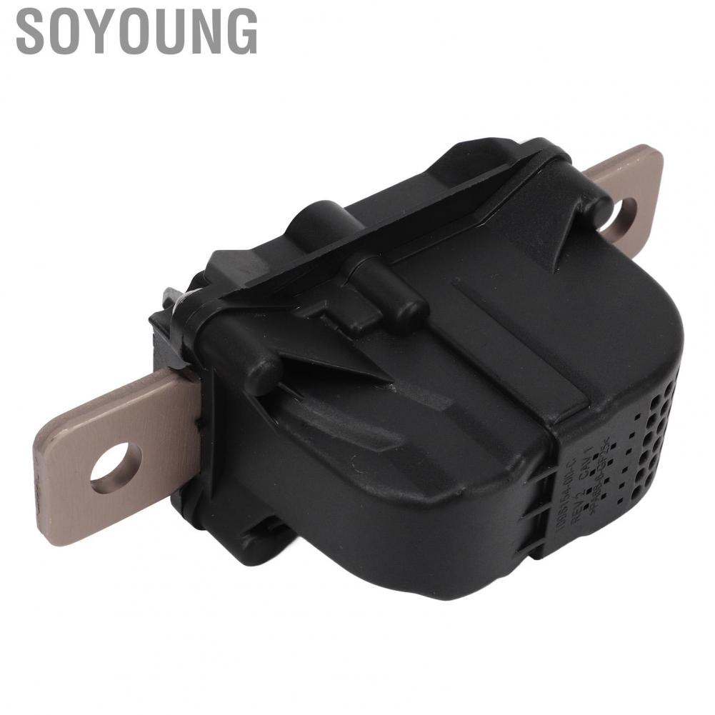 Soyoung 1064689  ABS Metal Direct Fit High Voltage Battery Disconnect Fuse Durable Pyro Safe for Cars