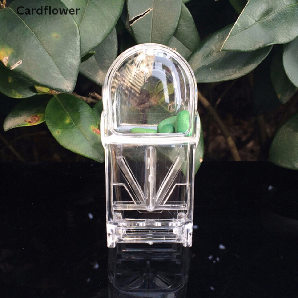 &lt; Cardflower &gt; Hộp Đựng Thuốc Viên Chia 3 Ngăn Phân Ngăn