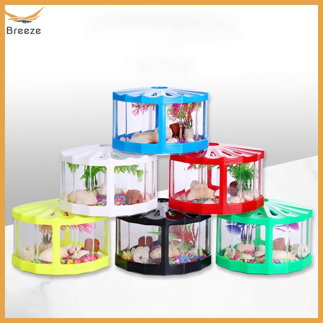 Hộp Đựng Côn Trùng Mini Trong Suốt Có Nắp Đậy Phù Hợp Cho Văn Phòng / Phòng Khách / Bàn Cà Phê