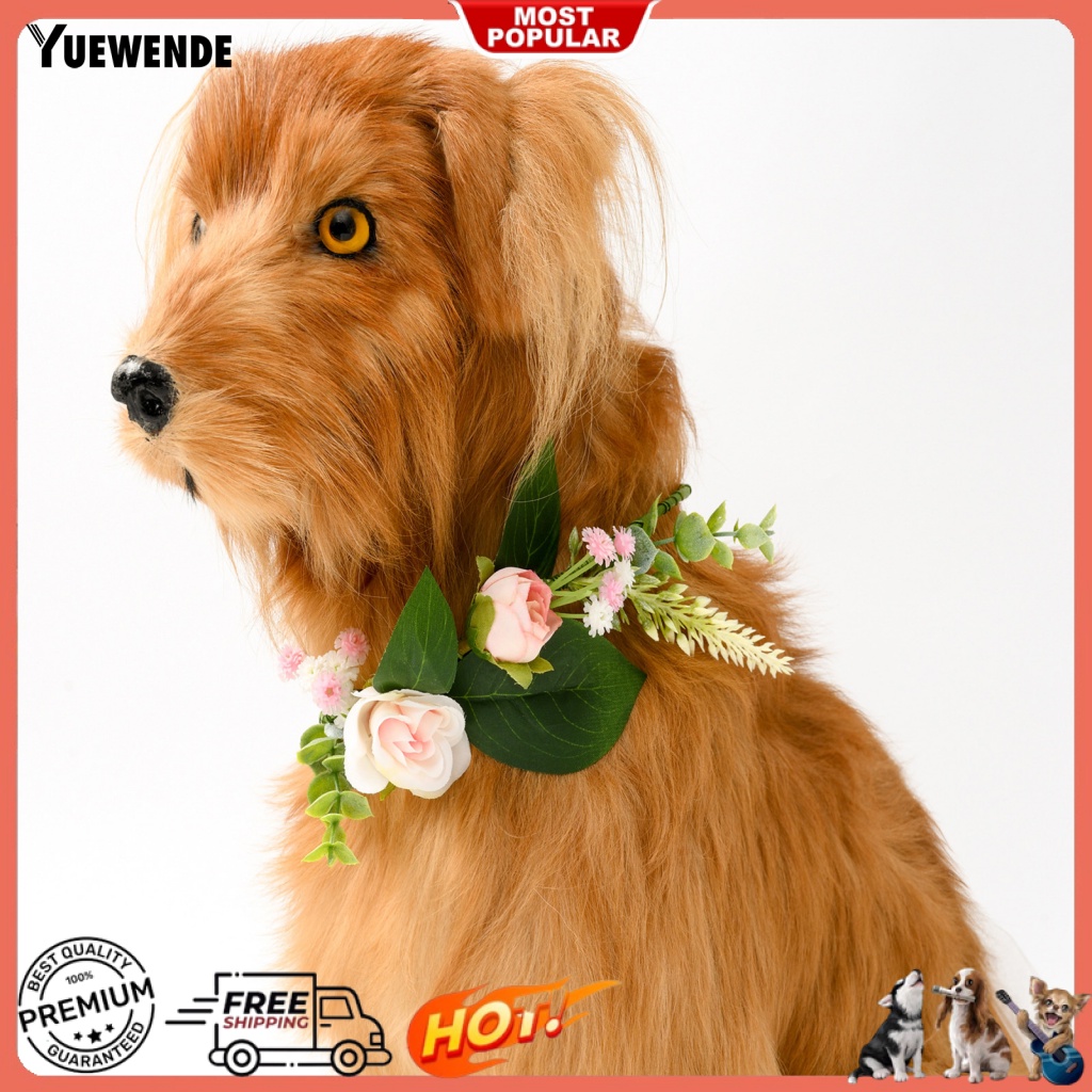 Vòng Đeo Cổ Bằng Nhựa Chống Mòn Dành Cho Thú Cưng